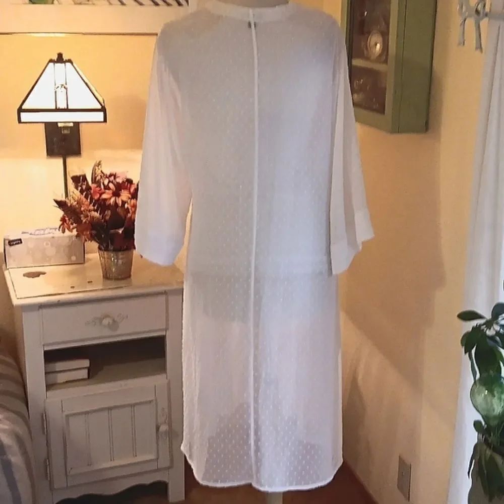 Express Dotted Swiss Duster - Picture 5 of 10
